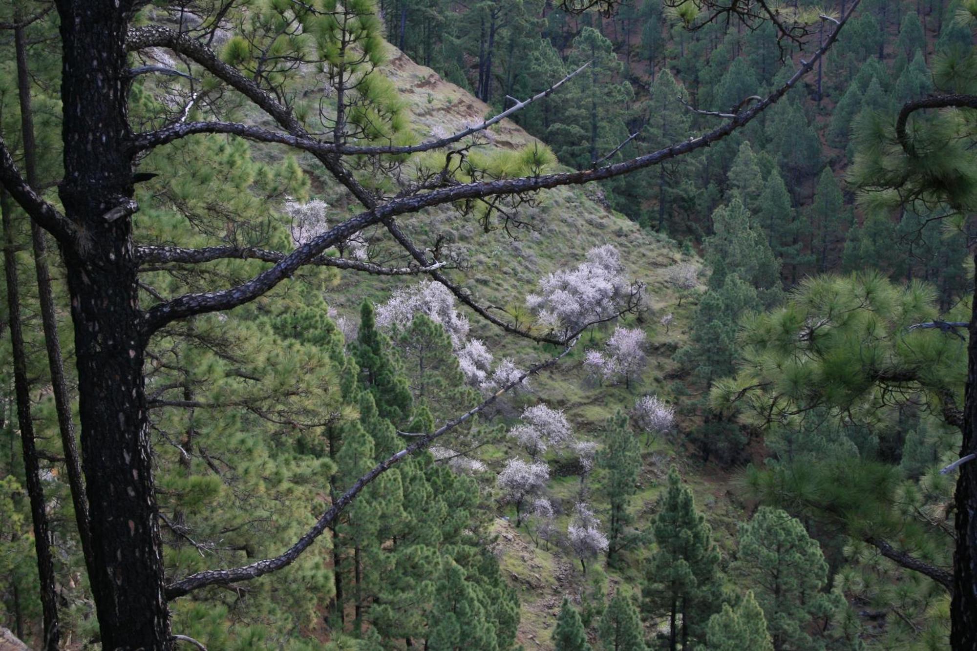 Casa Rural El Riachuelo Гарафия Экстерьер фото